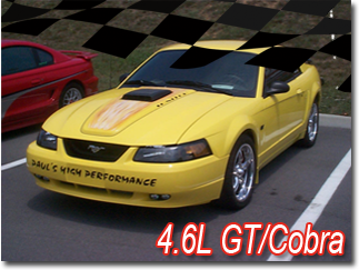4.6L GT